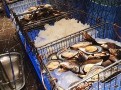 -富力万达文华酒店·海鲜自助