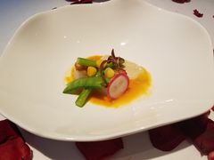 -蝶舍·MAISON PAPILLON