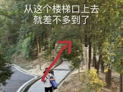 -火炉山森林公园