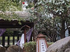 -观唐（国际）度假村温泉
