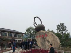 -长兴慧子土特产茶行