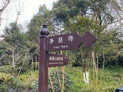 -九曜山