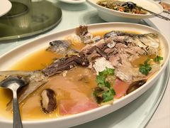 -骏莱海鲜鱼港(五角场店)