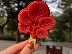 -香山公园