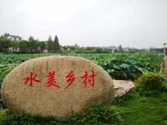 -东山香樟园