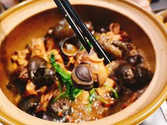 田螺-食爺炭炉鸡煲·烧烤