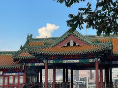 -莲花池公园