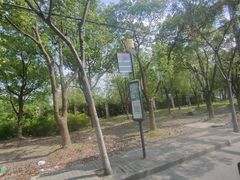 -同济大学(嘉定校区)