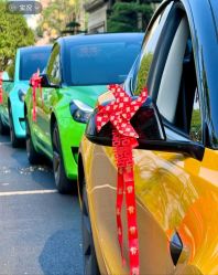 -喜乐汇·婚车(华润橡树湾3期店)