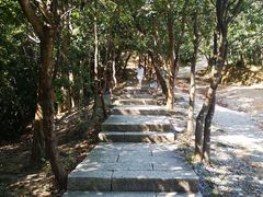 -梧桐山风景名胜区