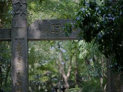 -上海佘山国家森林公园天马山园