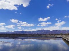 -野鸭湖国家湿地公园