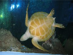 -苏州海洋馆