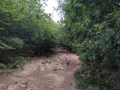 -虞山风景区