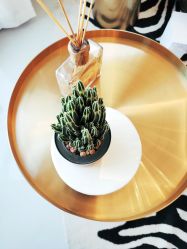 -美最美健康管理中心