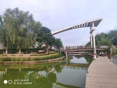 -雁滩公园