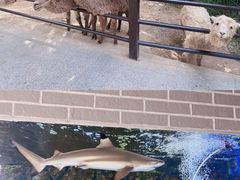 -杭州野生动物世界