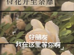 -黄河小浪底水利枢纽风景区