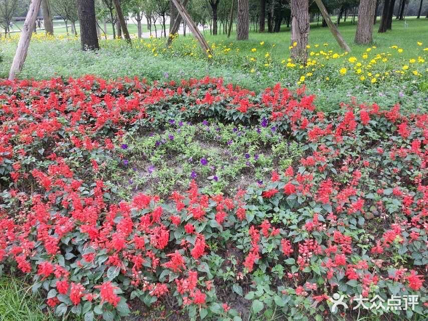 无锡橙V有特权