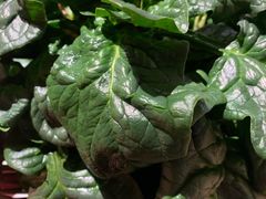 -巴奴毛肚火锅(安阳相州店)