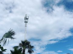 -八婆婆烧仙草(中山路店)