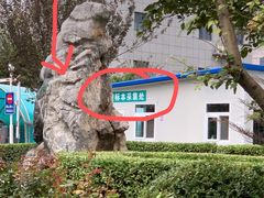 -中国中医科学院望京医院(院本部)