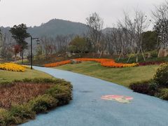 -径山花海