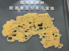 -西双版纳原始森林公园