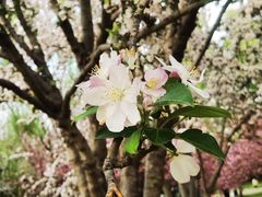 -莲花池公园