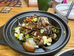 -云海肴·汽锅鸡·云南代表菜(天山百盛优客店)