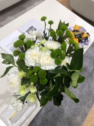 -HEYAN长风荷妍专业脱毛美肤
