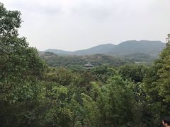 -白马涧龙池景区