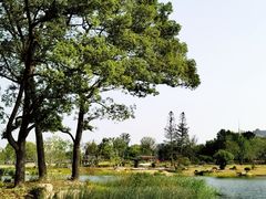 -上海植物园-4号门售票处