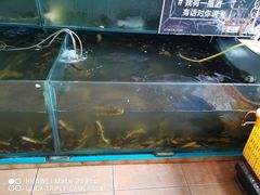水产区-大鹅岛灶台鱼·铁锅炖(水库路店)