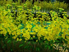 -万达广场(泰安泰山店)