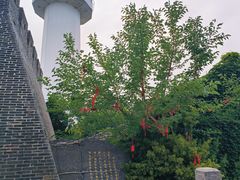 -烟台山景区