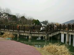-石塘人家