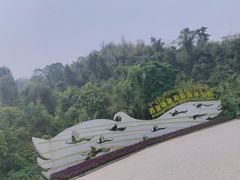 -西双版纳原始森林公园