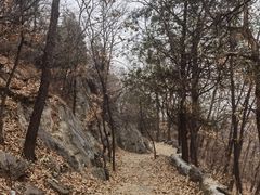 -阳台山自然风景区