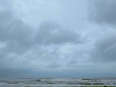 -日照海滨国家森林公园