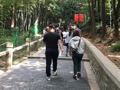 -灵岩山风景区