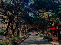 -南岳衡山风景名胜区