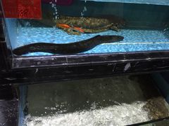 -渔傅·蓝海岸霞浦海鲜(正祥店)