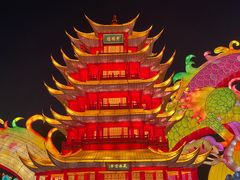 -武汉园博园(武汉自然博物馆)