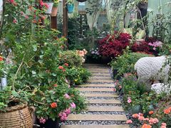 -大隐花事(熊婆婆的花园店)