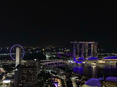 -新加坡瑞士史丹福酒店