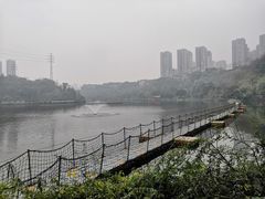 -重庆彩云湖湿地公园