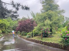 -国家植物园南园