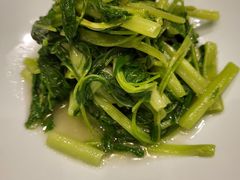 清炒时蔬-新光酒家·河豚·海鲜·蟹料理(浦东店)