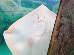 -珠海长隆海洋王国